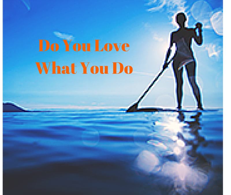 Do You Love What You Do